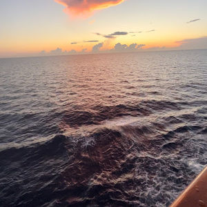 Meet your Posher, Trinity